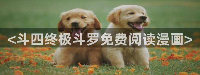 汗汗漫画免费在线看