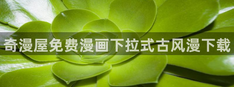 韩漫汗汗漫画免费