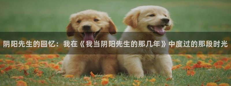 羞羞汗汗漫画在线