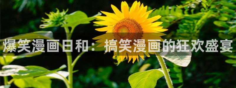 歪歪漫画——汗汗漫画：爆笑漫画日和：搞笑漫画的狂欢盛宴
