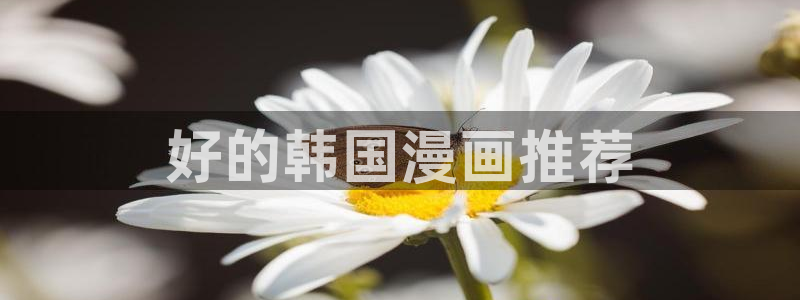 歪歪漫画汗汗漫画羞羞漫画在线观看：好的韩国漫画推荐