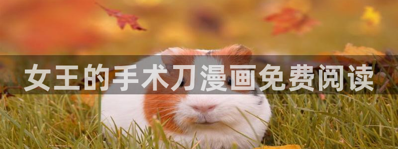 汗汗漫画s