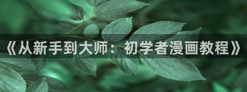 汗汗漫画免费在线阅读：《从新手到大师：初学者漫画教程》